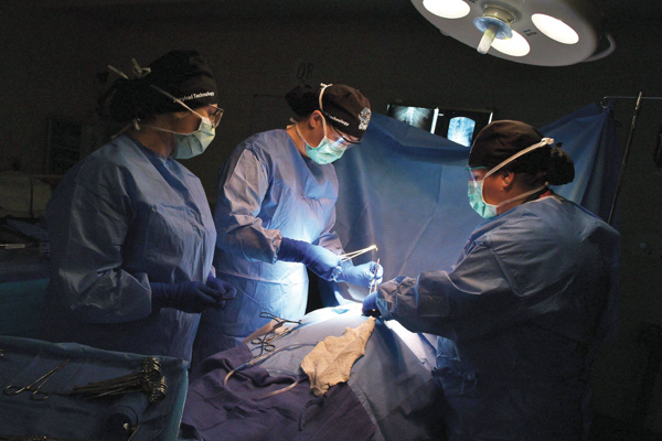 Students in Surgical Training