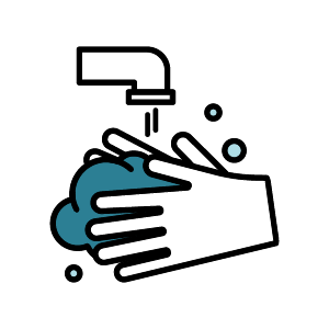 Wash Your Hands