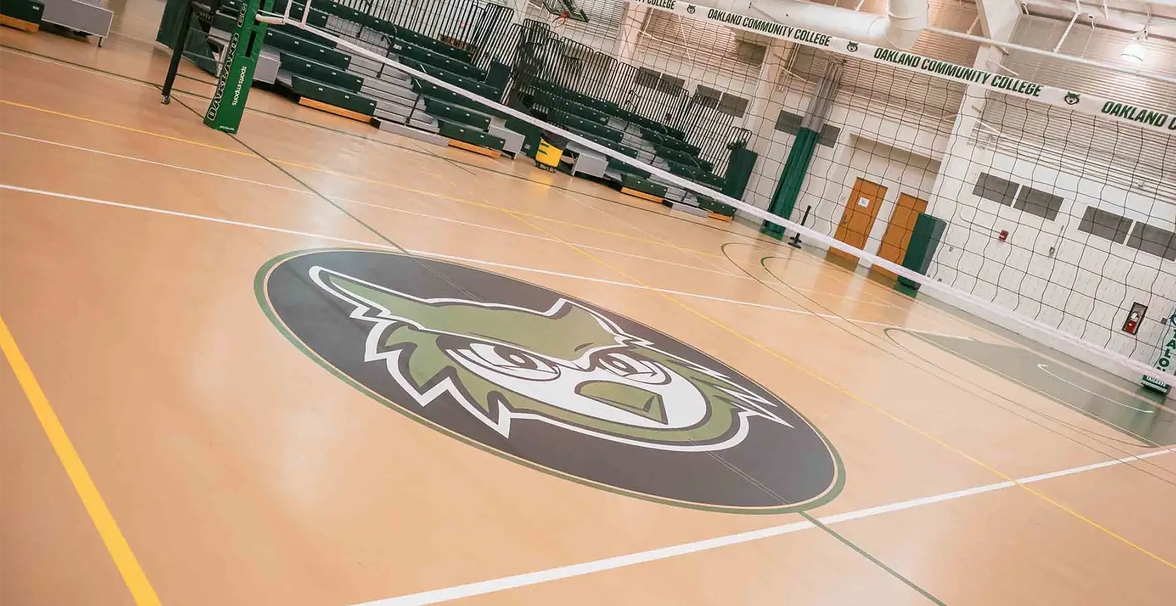 Photo of OCC Owl logo in the College Athletics Gym
